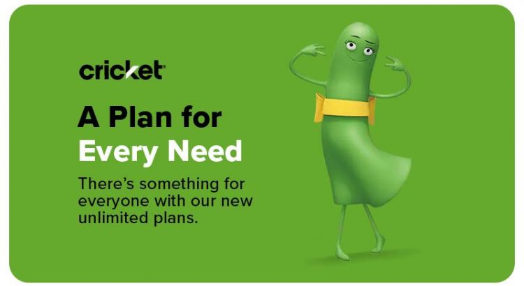 Cricket wireless data only plan